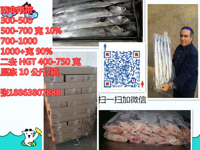 帶魚(yú)